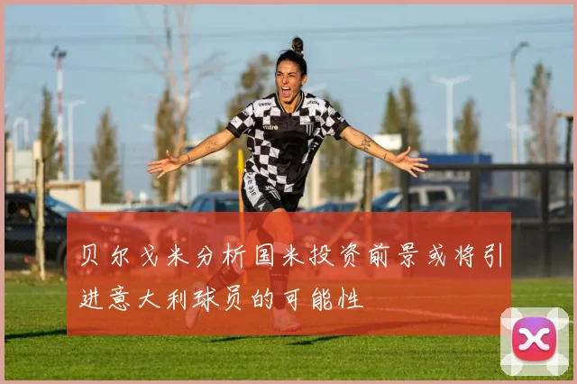 贝尔戈米分析国米投资前景或将引进意大利球员的可能性