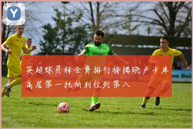 英超球员转会费排行榜揭晓卢卡库高居第一托纳利位列第八
